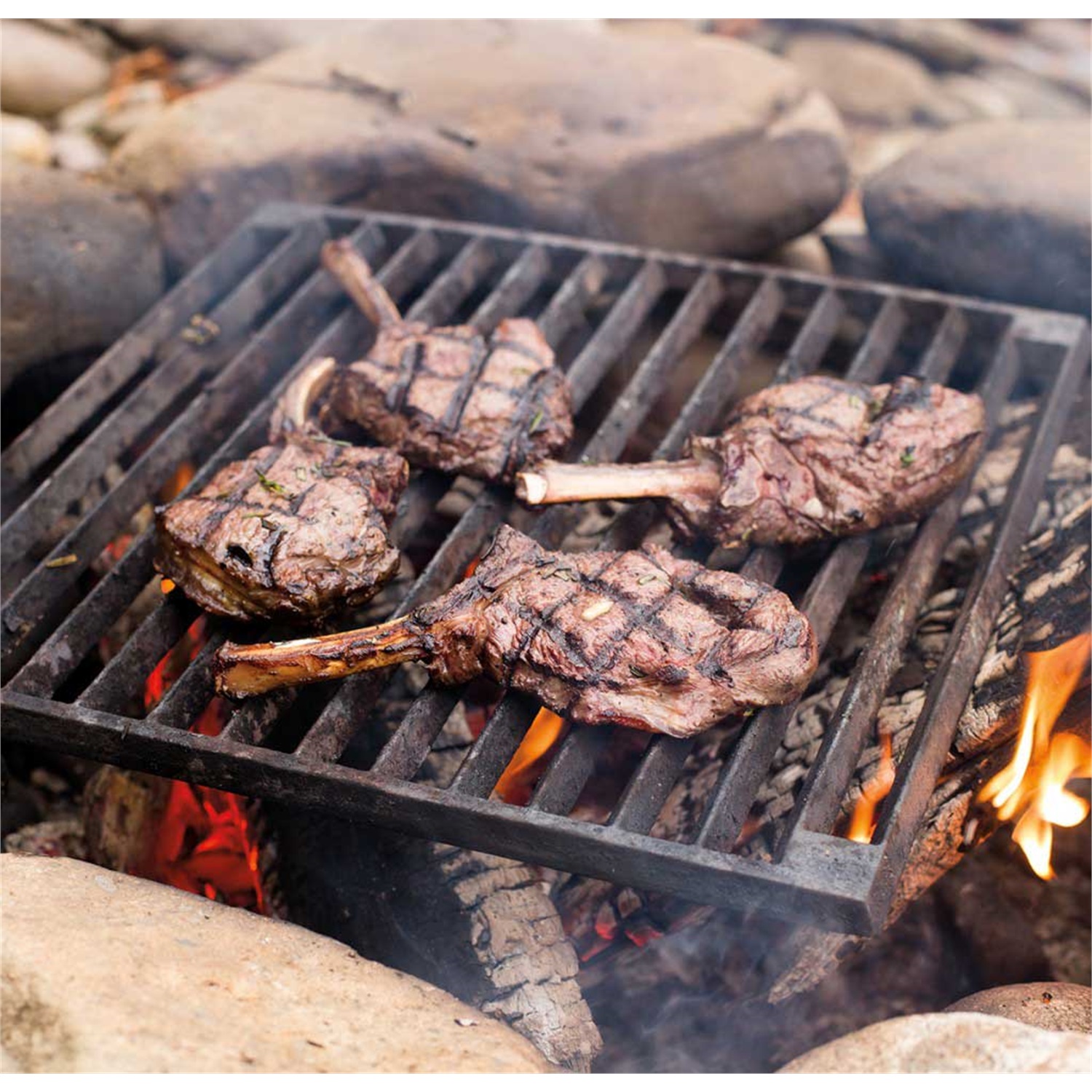 steven-raichlen-tuscan-grill-barbecue-sr8024