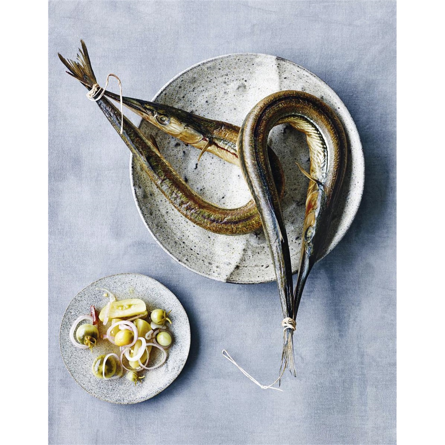 gone-fishing-verse-vis-uit-de-scandinavische-keuken