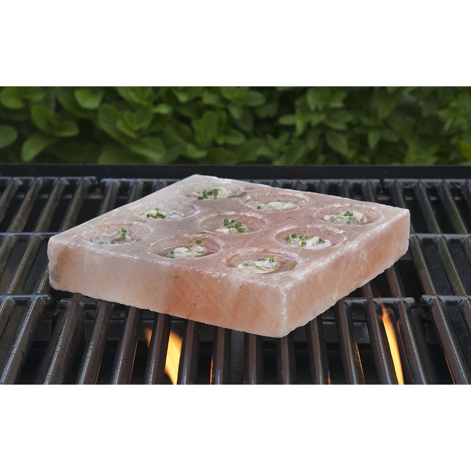 charcoal-companion-himalaya-zoutsteen-met-inkepingen-cc6067-20x20cm