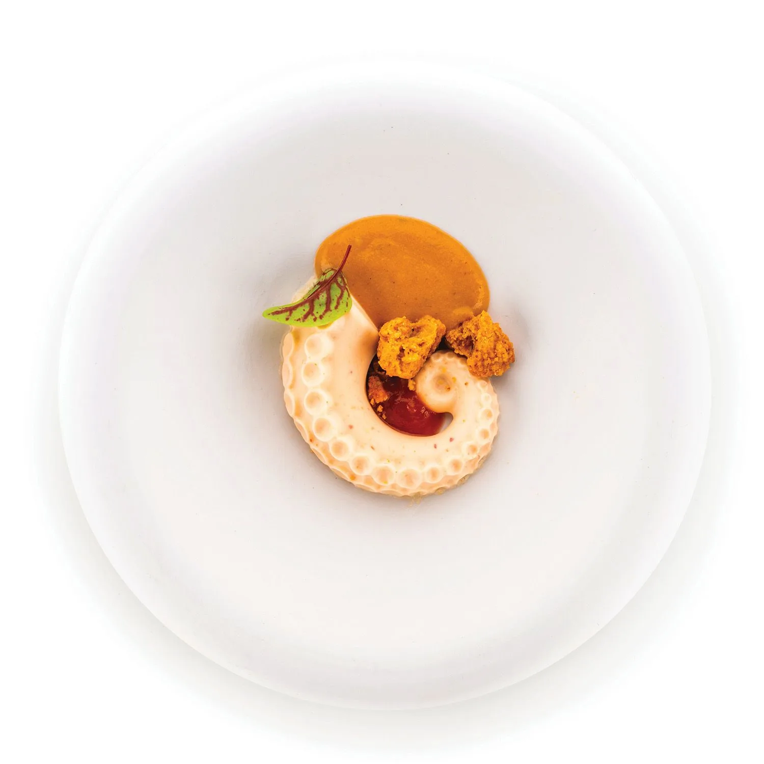 silikomart-polpo-20-siliconen-patisserievorm-12-vaks_4webp