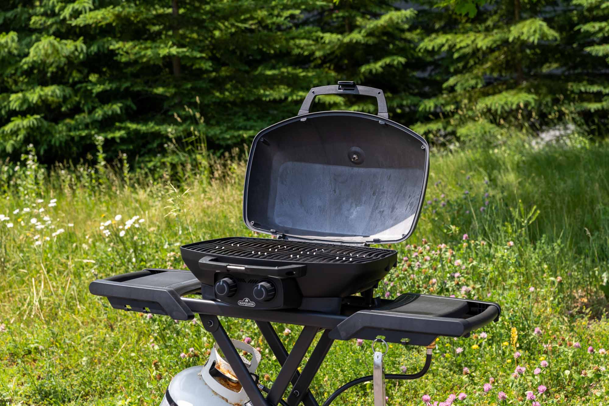 napoleon_travelq_pro_portable_grills_series_lifestyle_05.jpg