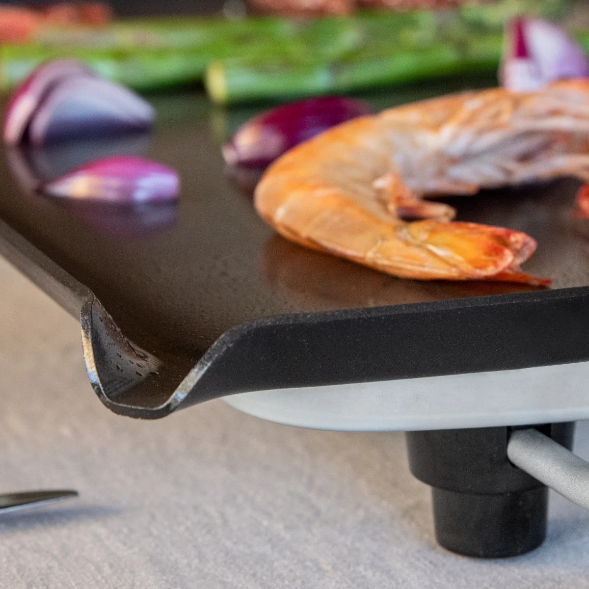 boska-elektrische-grillplaat-pro-35x56cm2.jpg