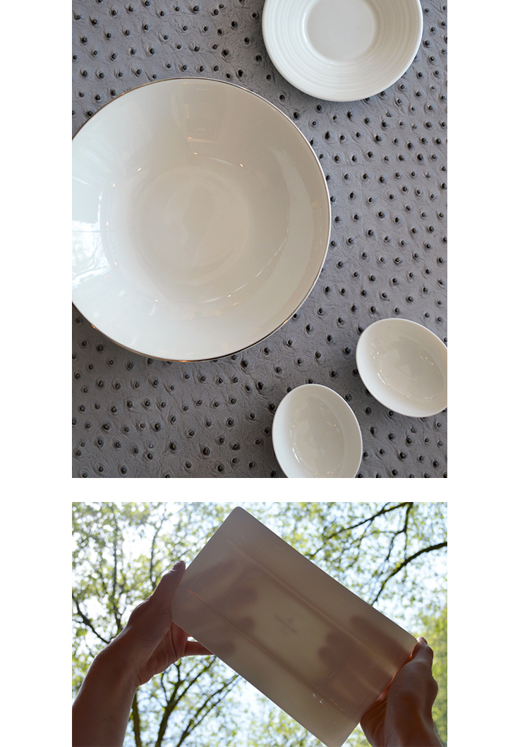 Welk servies   porselein   dubbele afbeelding