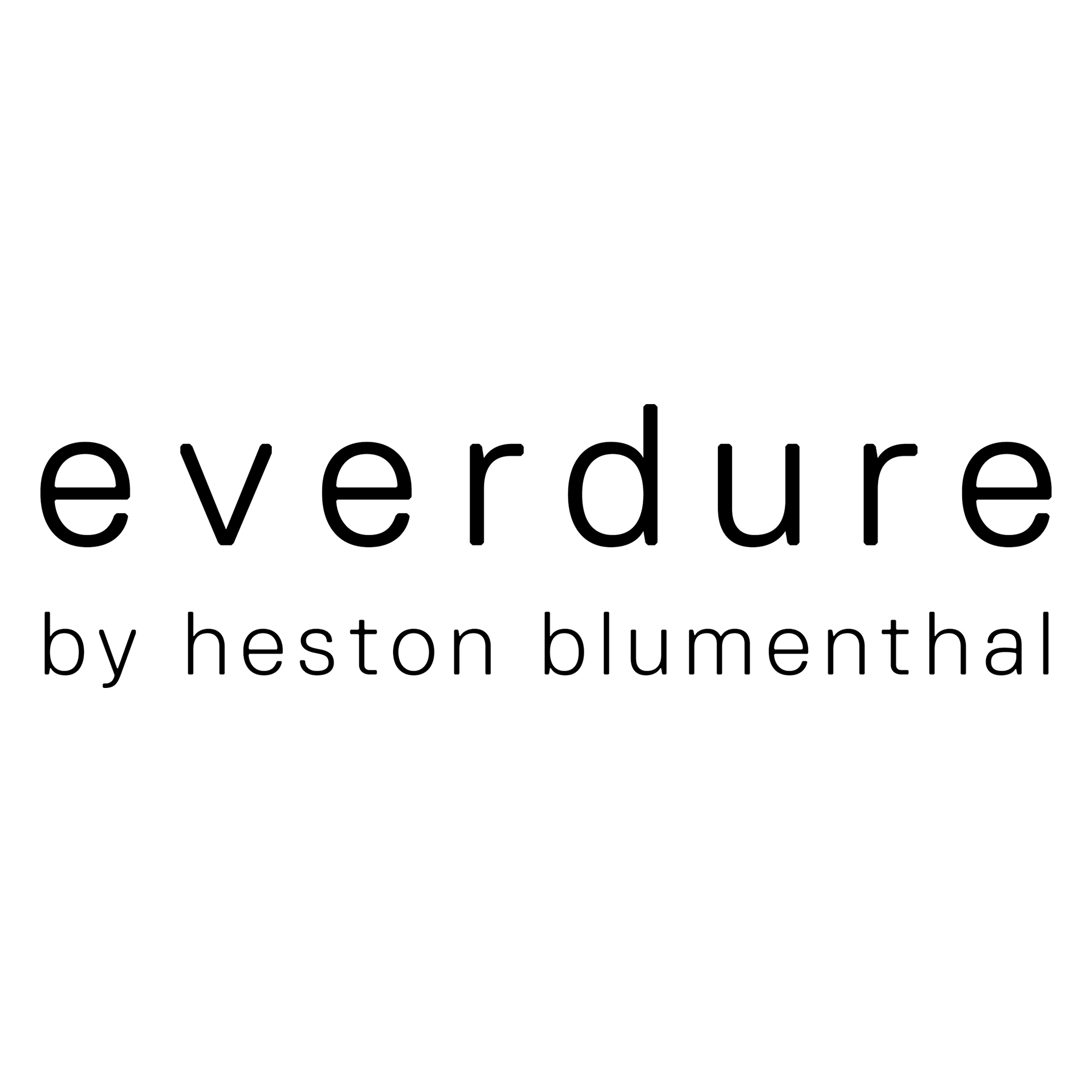 everdure-logo-vierkant