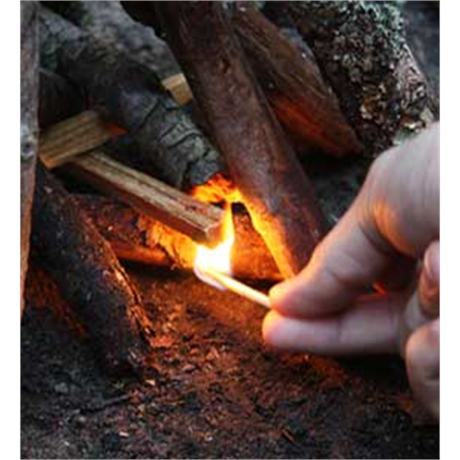 100-all-natural-fatwood-firestarter-783g