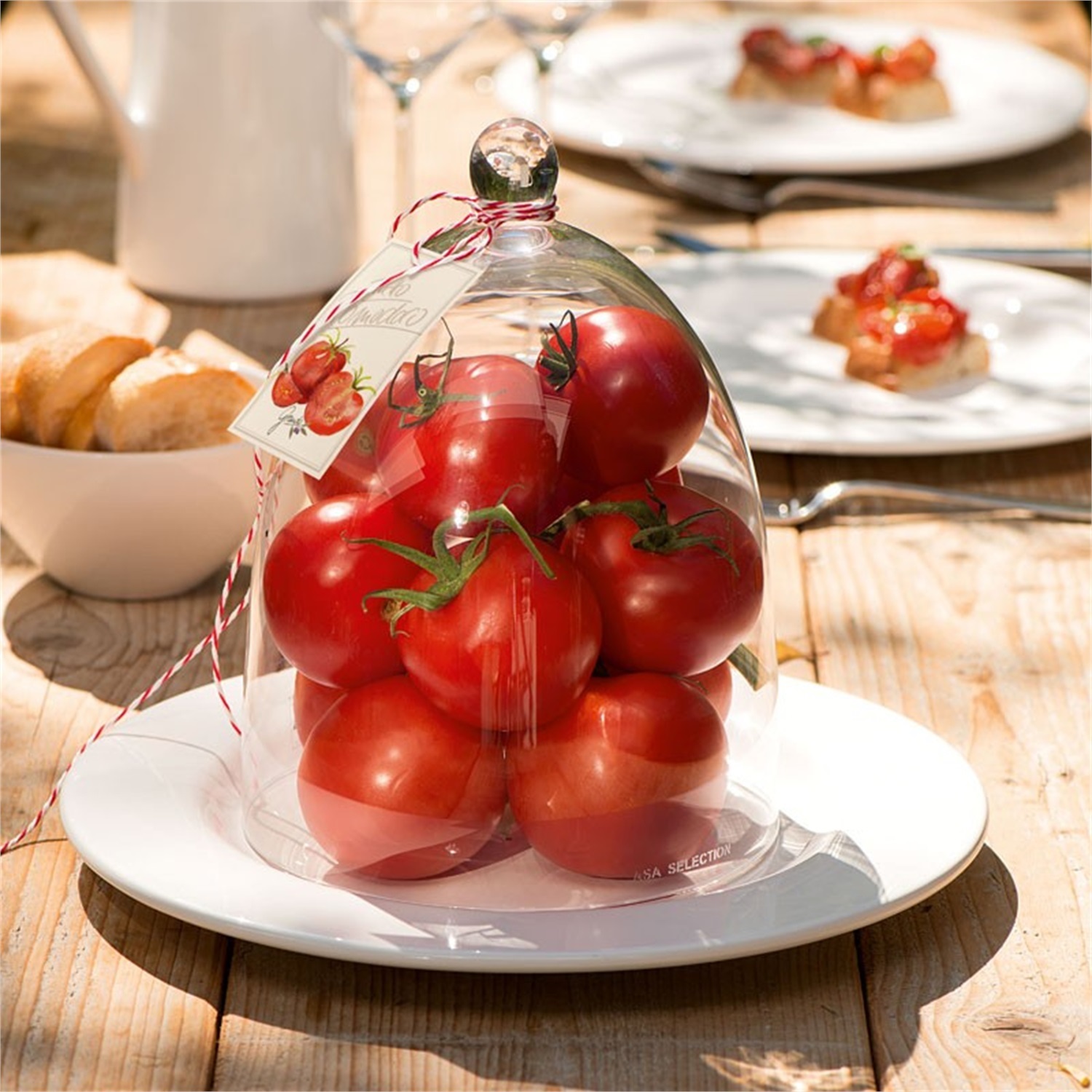 asa-selection-grande-originale-glazen-stolp-265cm