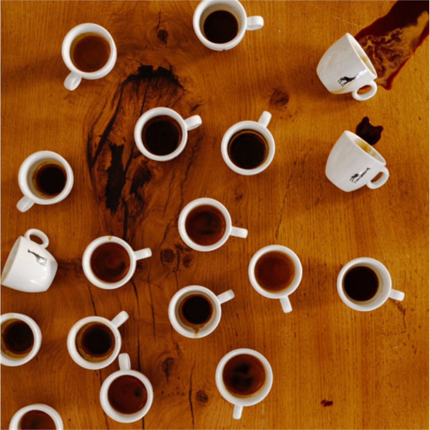 giraffe-coffee-original-blend-espresso-1kg