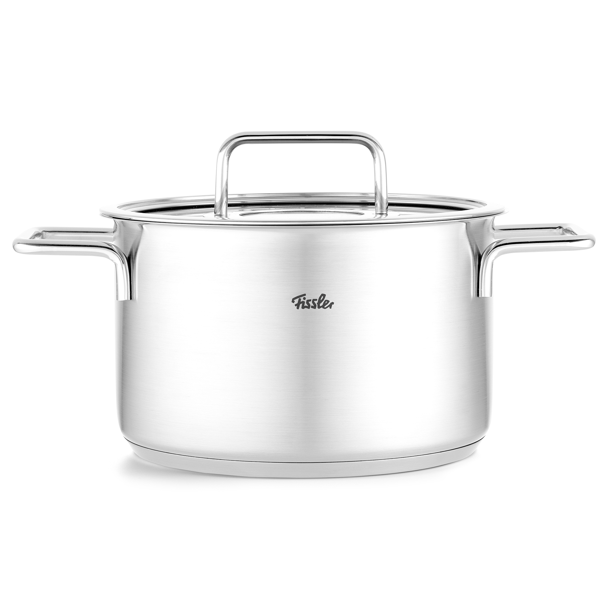 fissler-pure-collection-kookpan-met-glasdeksel-20cm