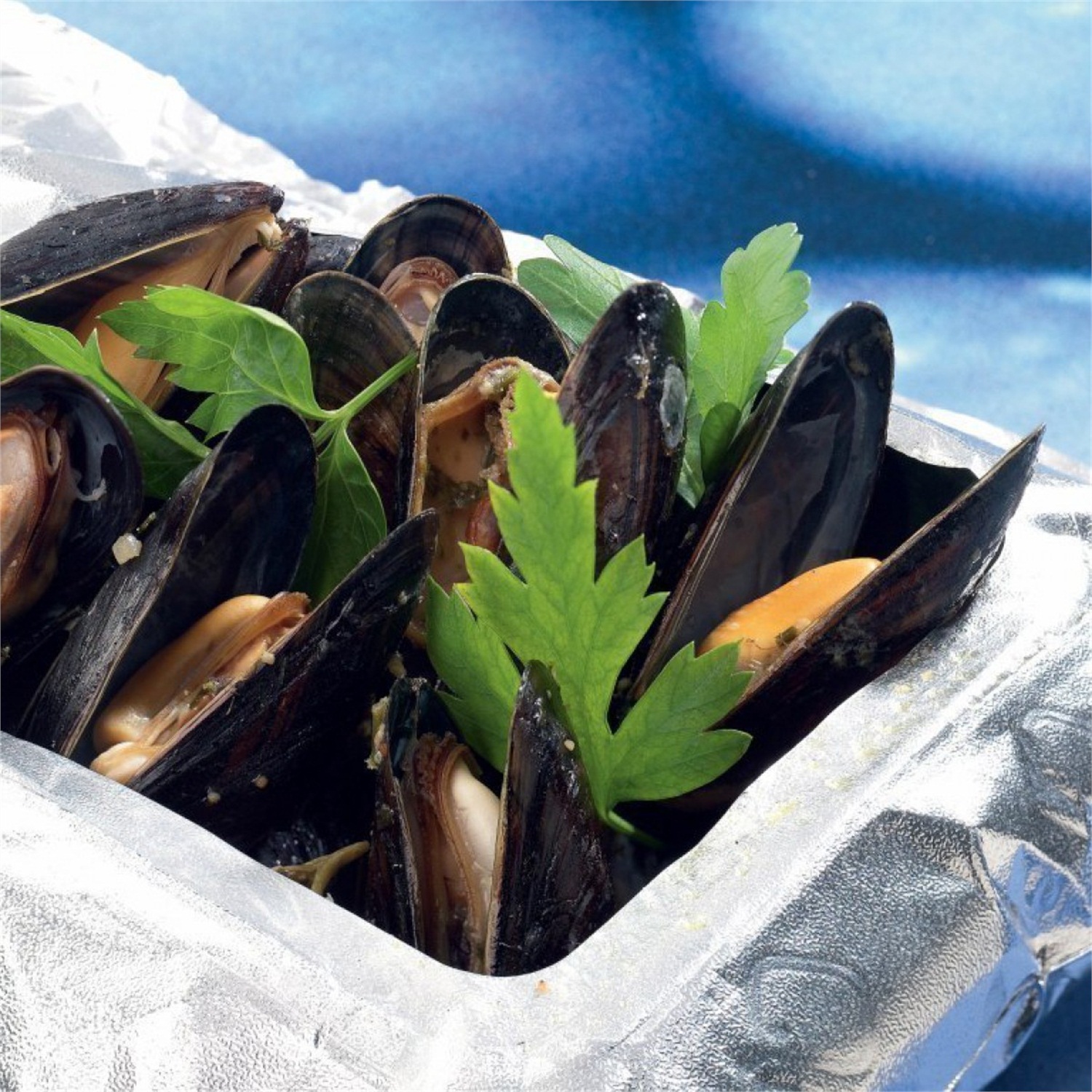 kookpunt-point-virgule-barbecue-q-bag-8-stuks