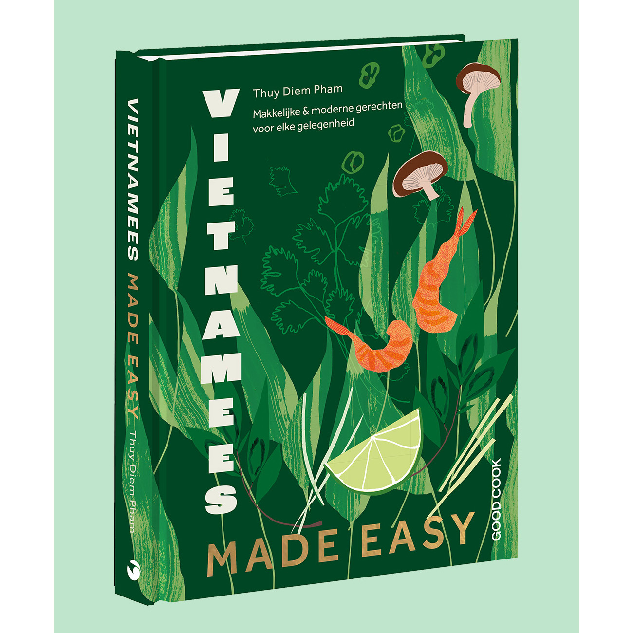 vietnamees-made-easy-visual.jpg