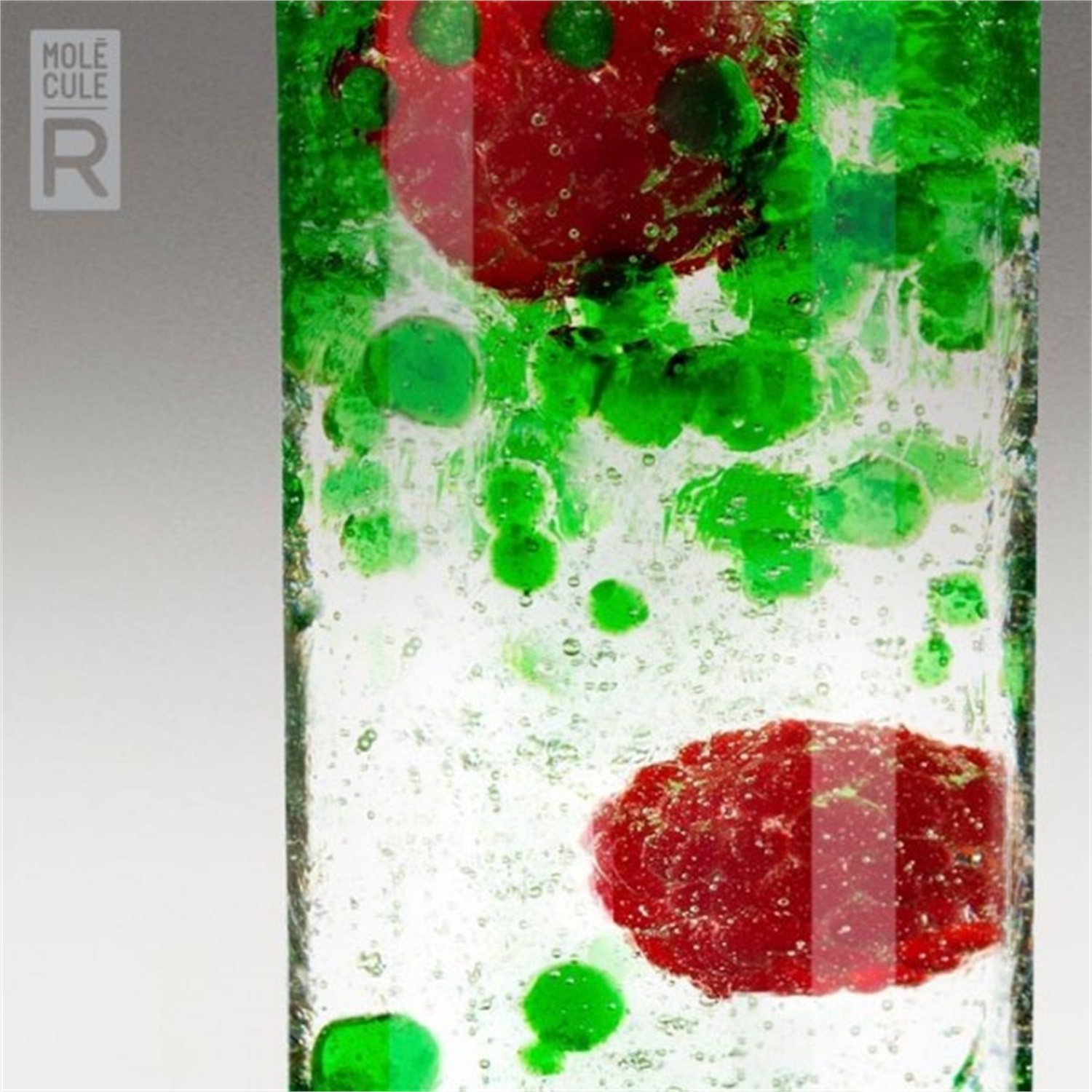 molecule-r-r-evolution-mojito-kit