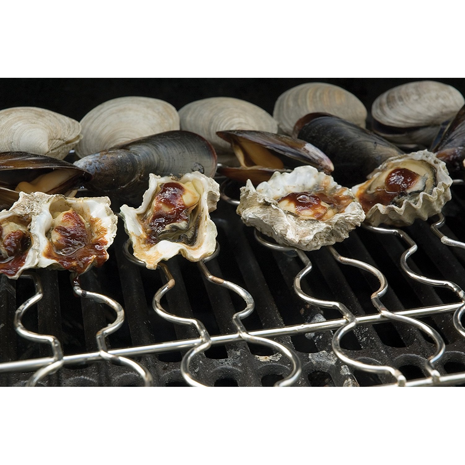 steven-raichlen-zeevruchten-grillrek-sr8071