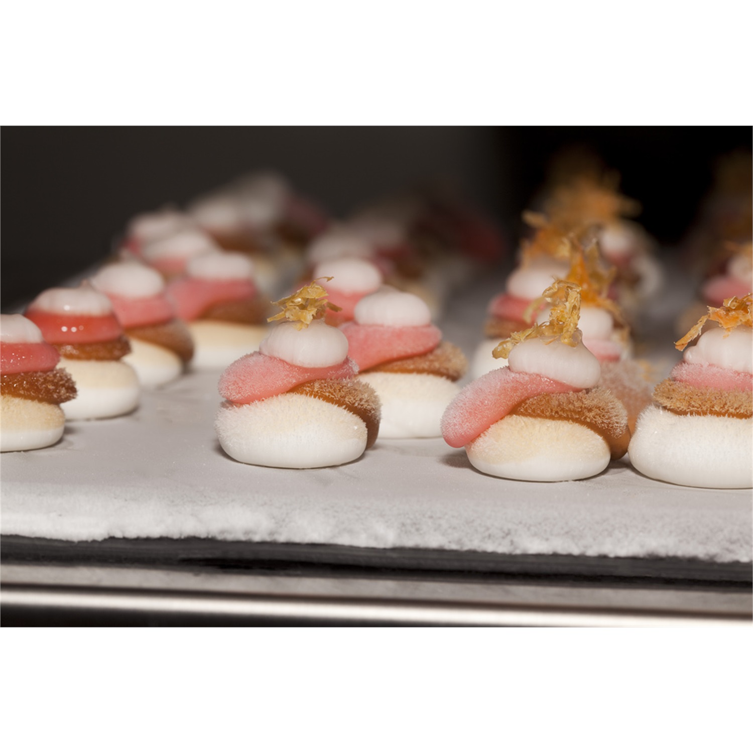 polyscience-anti-griddle-vriesplaat-37x24cm-wit