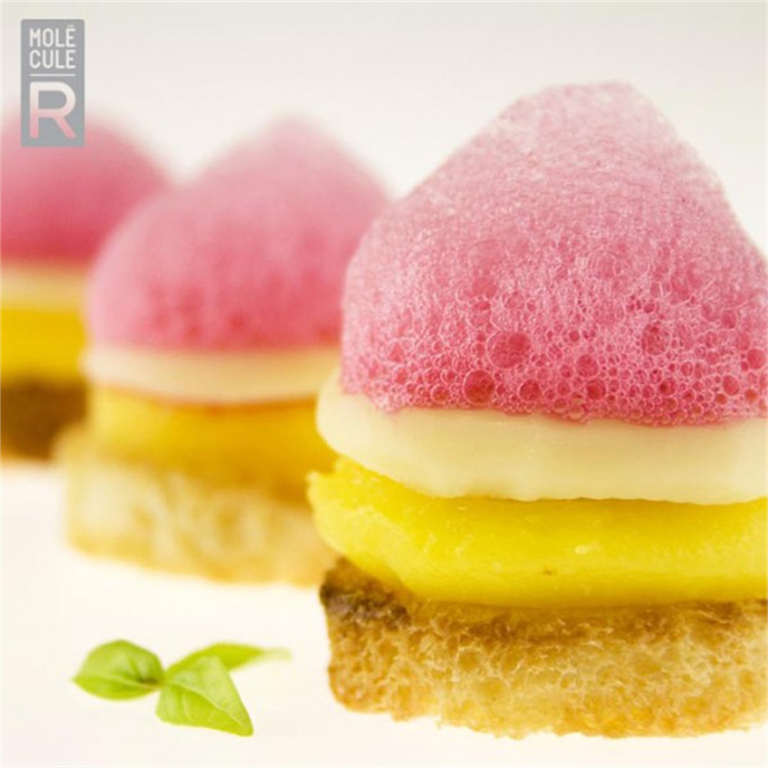 molecule-r-cuisine-r-evolution-molecular-gastronomy-kit