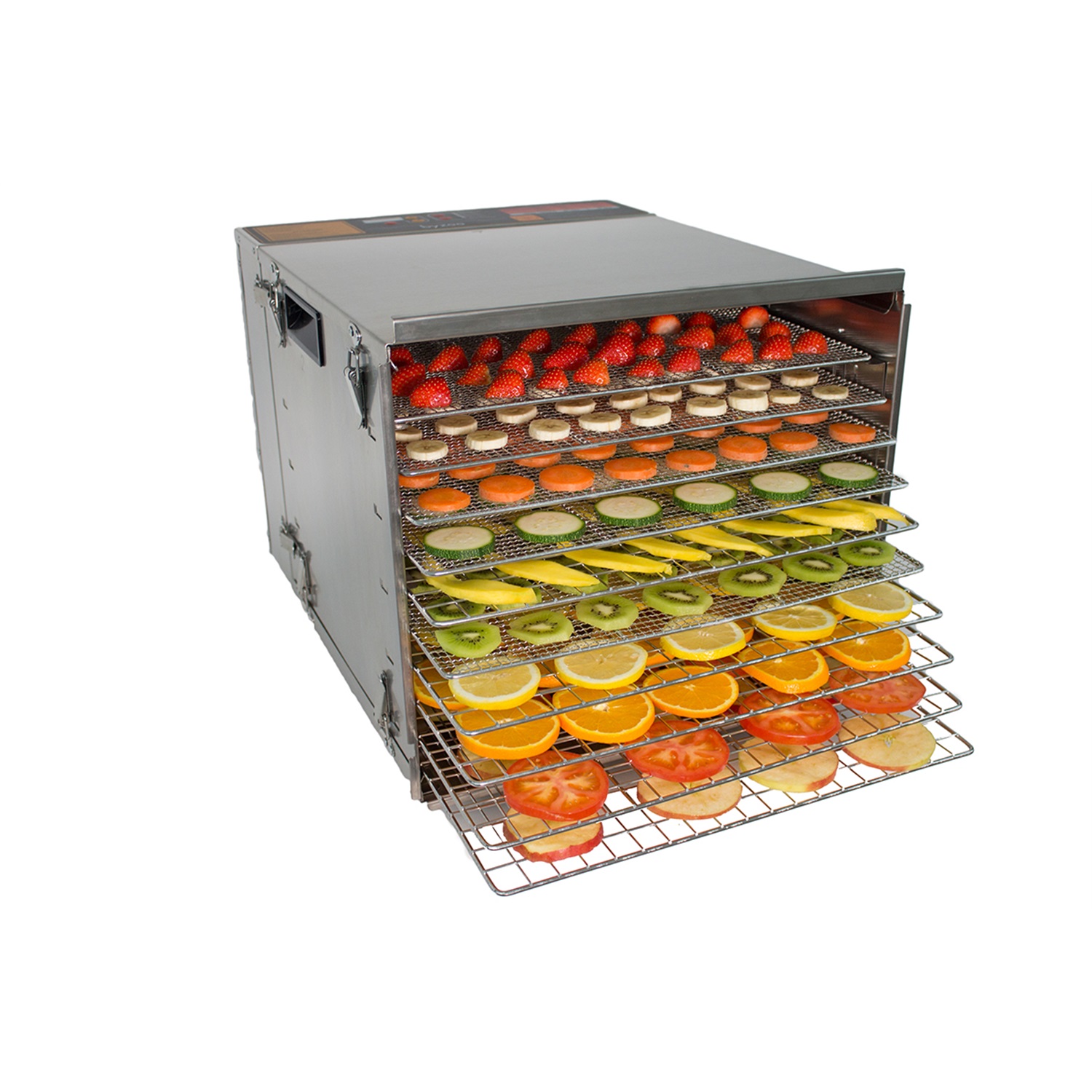 byzoo-scorpion-droogoven