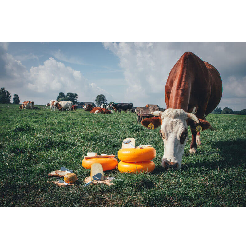 boska-delfts-blauw-kaasschaaf_5jpeg