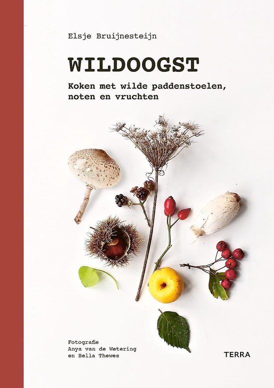 wildoogst-koken-met-wilde-paddestoelen-noten-en-vruchten