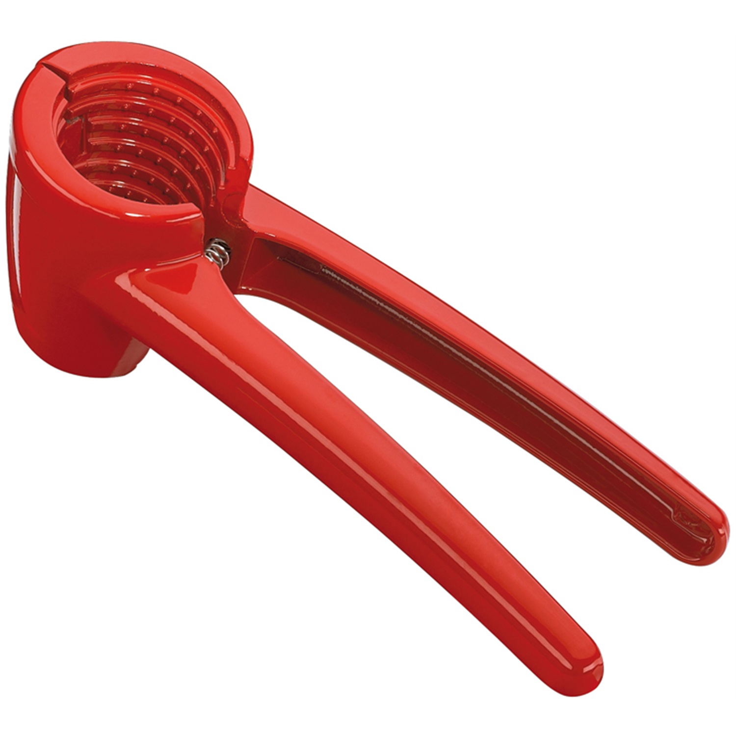 cilio knacki notenkraker multicolor