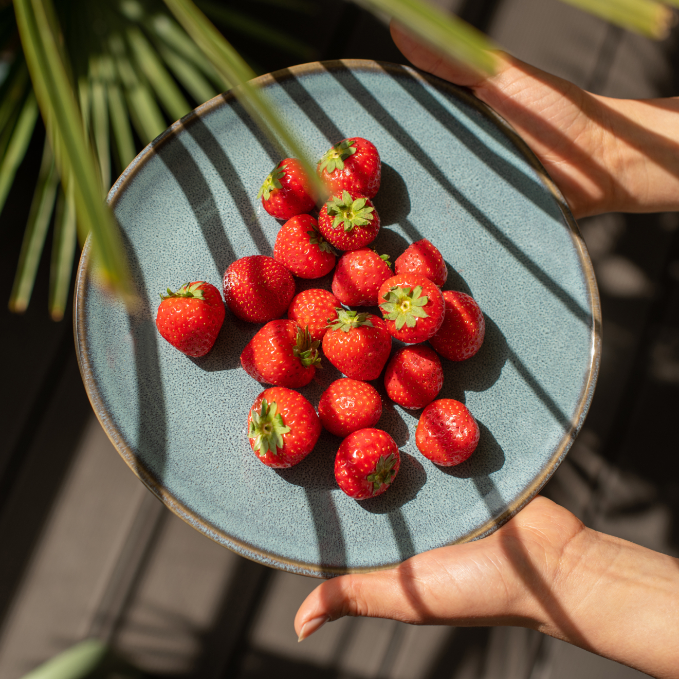 villeroy-boch-lave-ontbijtbord-23cm-glace-6-stuks