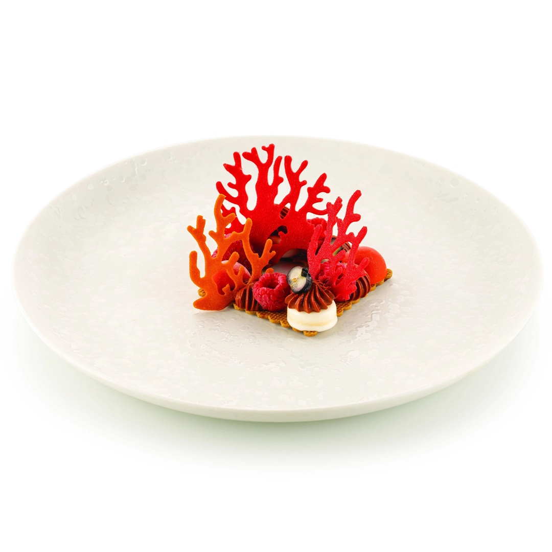 silikomart-corallo-siliconen-patisserievorm-21-vaks