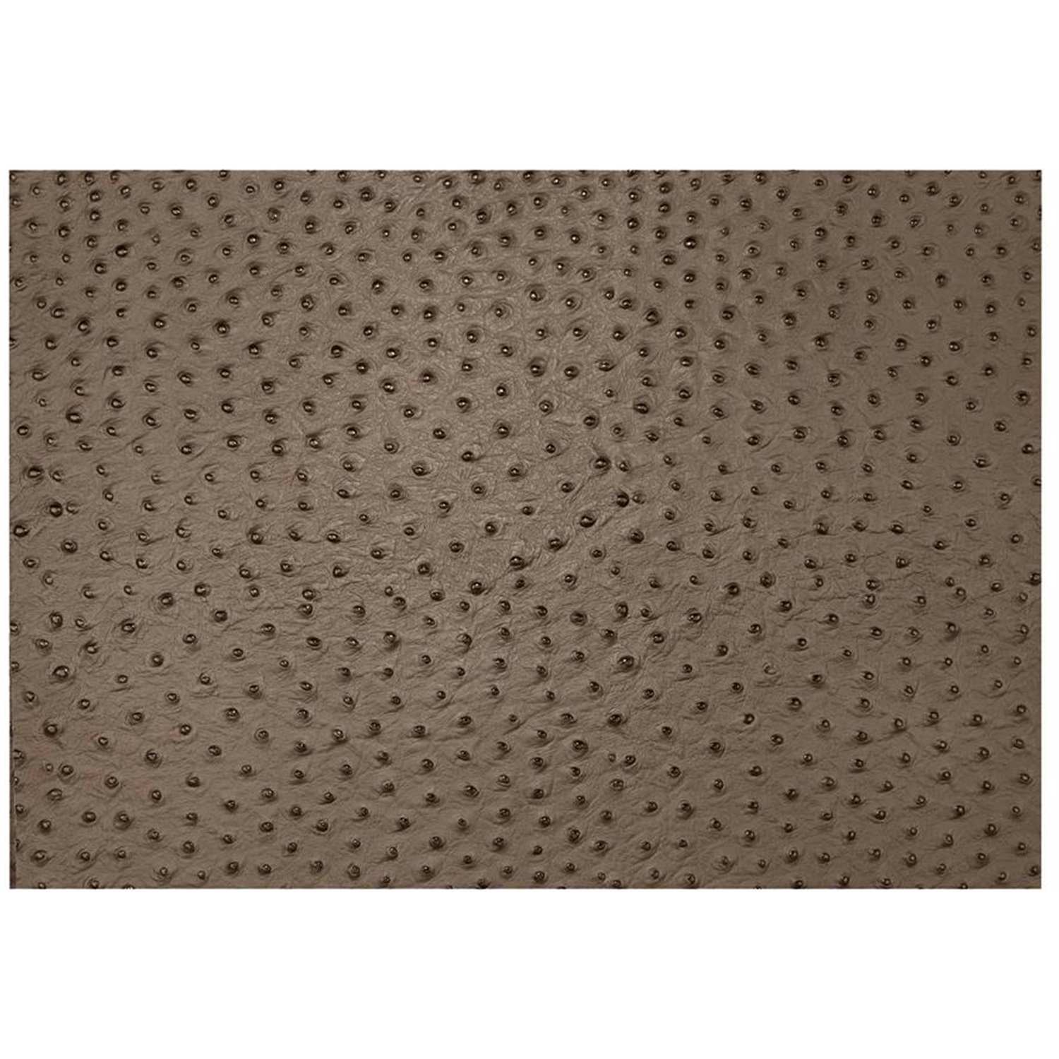 daff leatherixx emu placemat 33x45cm cedar