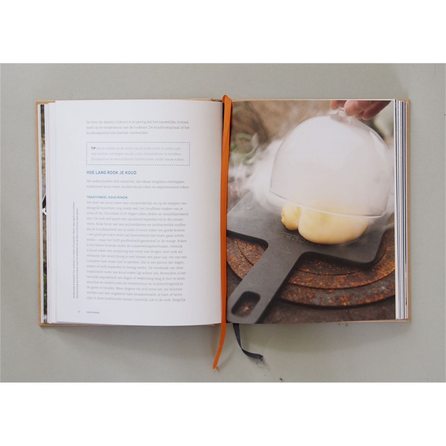 over-rook-het-handboek-voor-warm-koud-roken