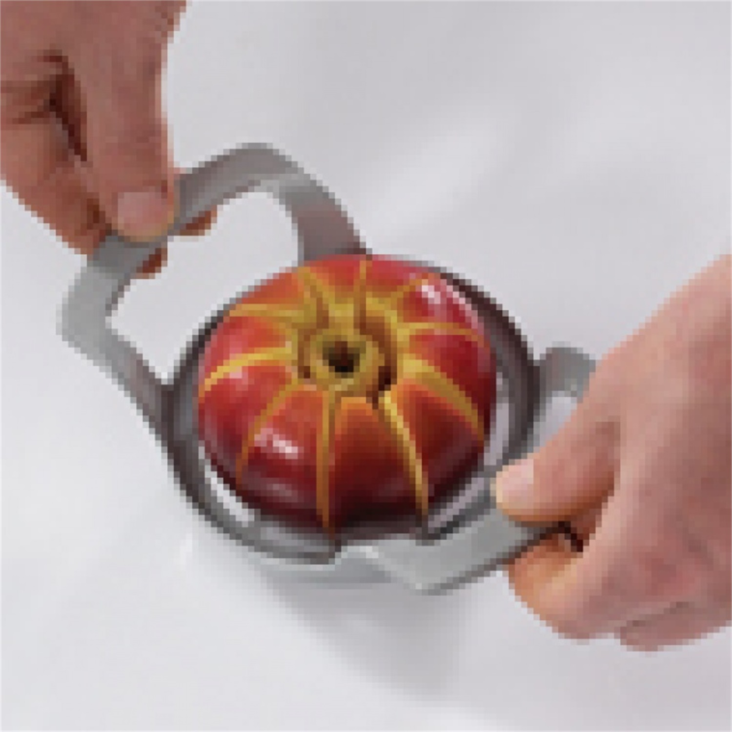 westmark-divisorex-appeldeler-10-vaks