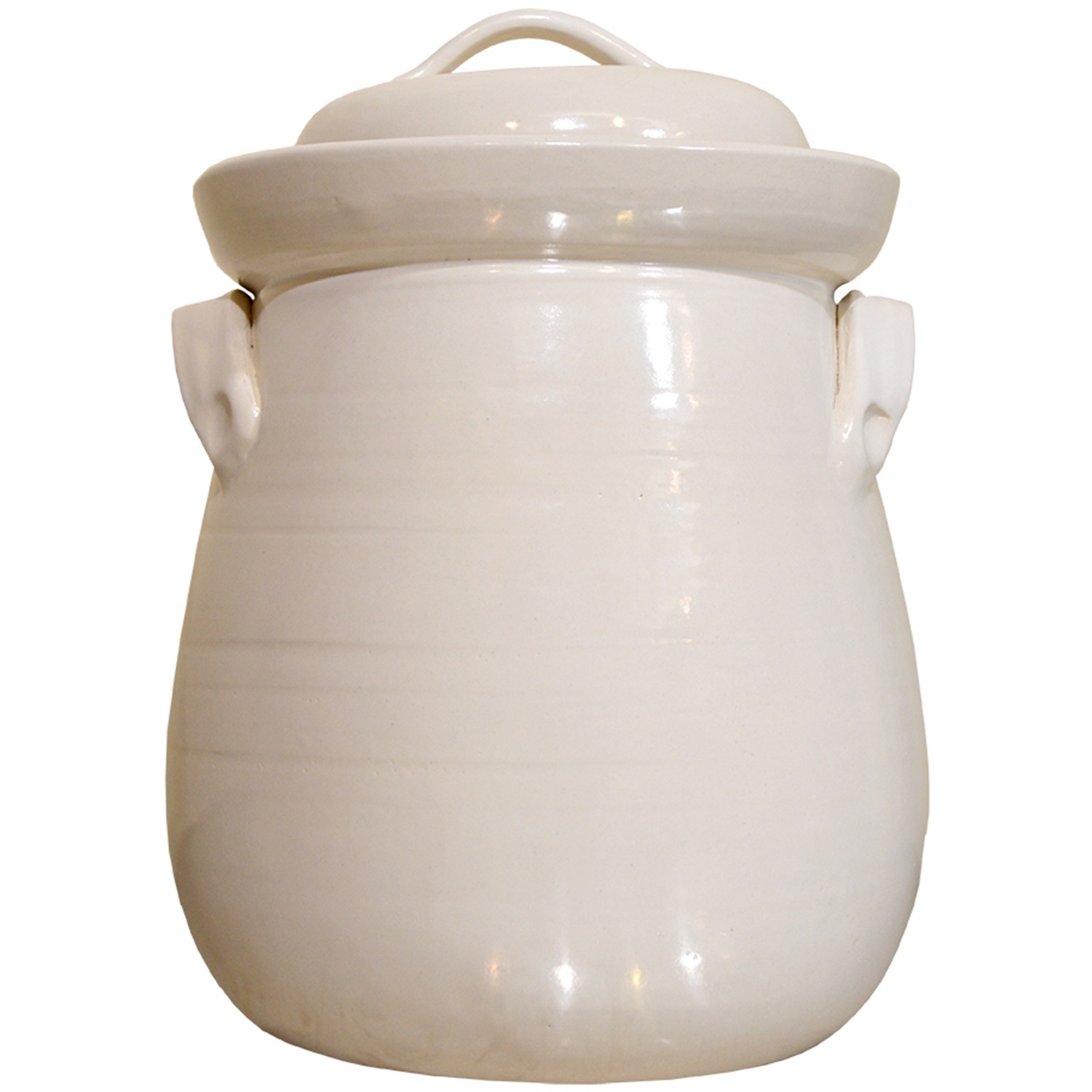 zuurkoolpot met deksel 8 liter