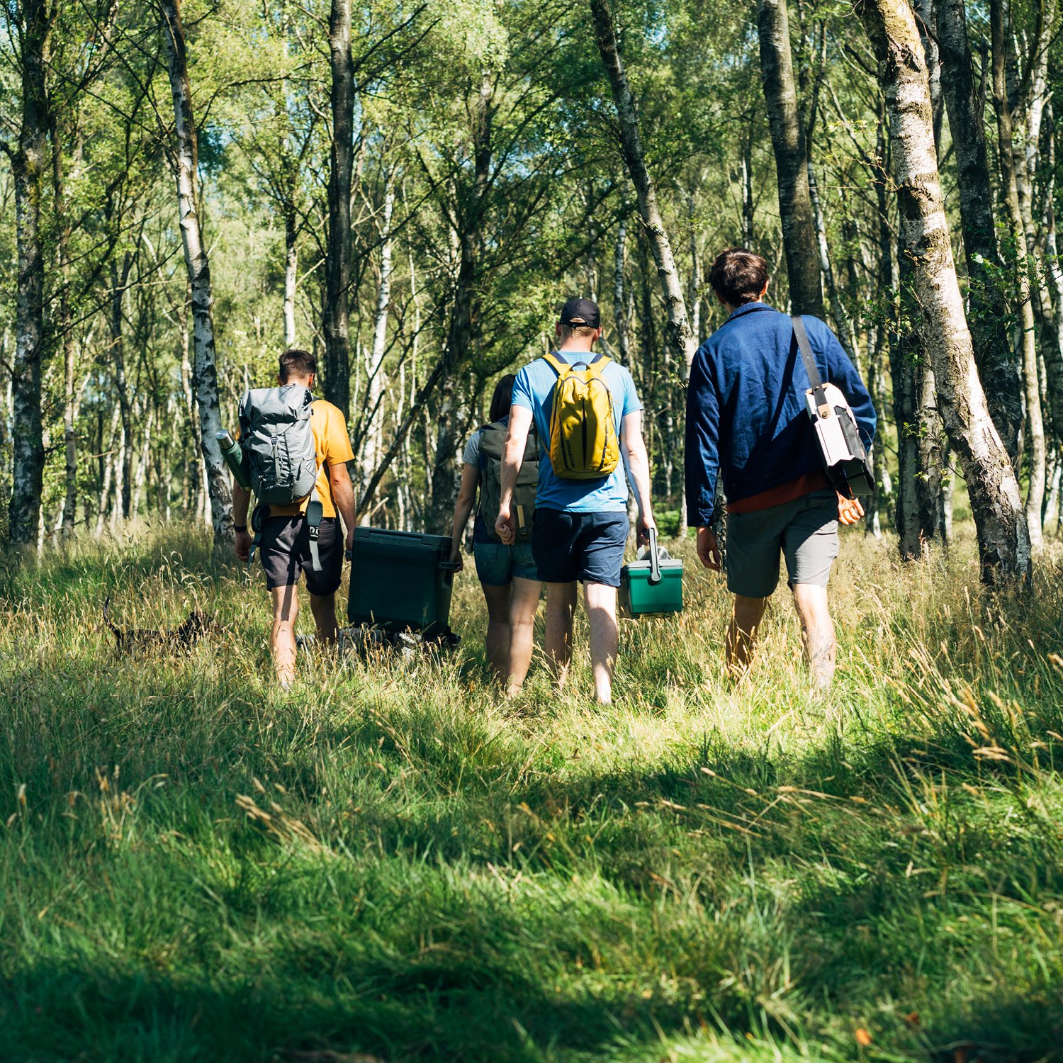 stanley-easy-carry-outdoor-koelbox-66l-wit_4jpeg