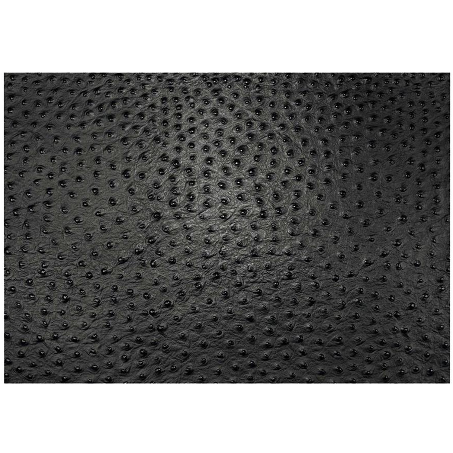 daff leatherixx emu placemat 33x45cm coal