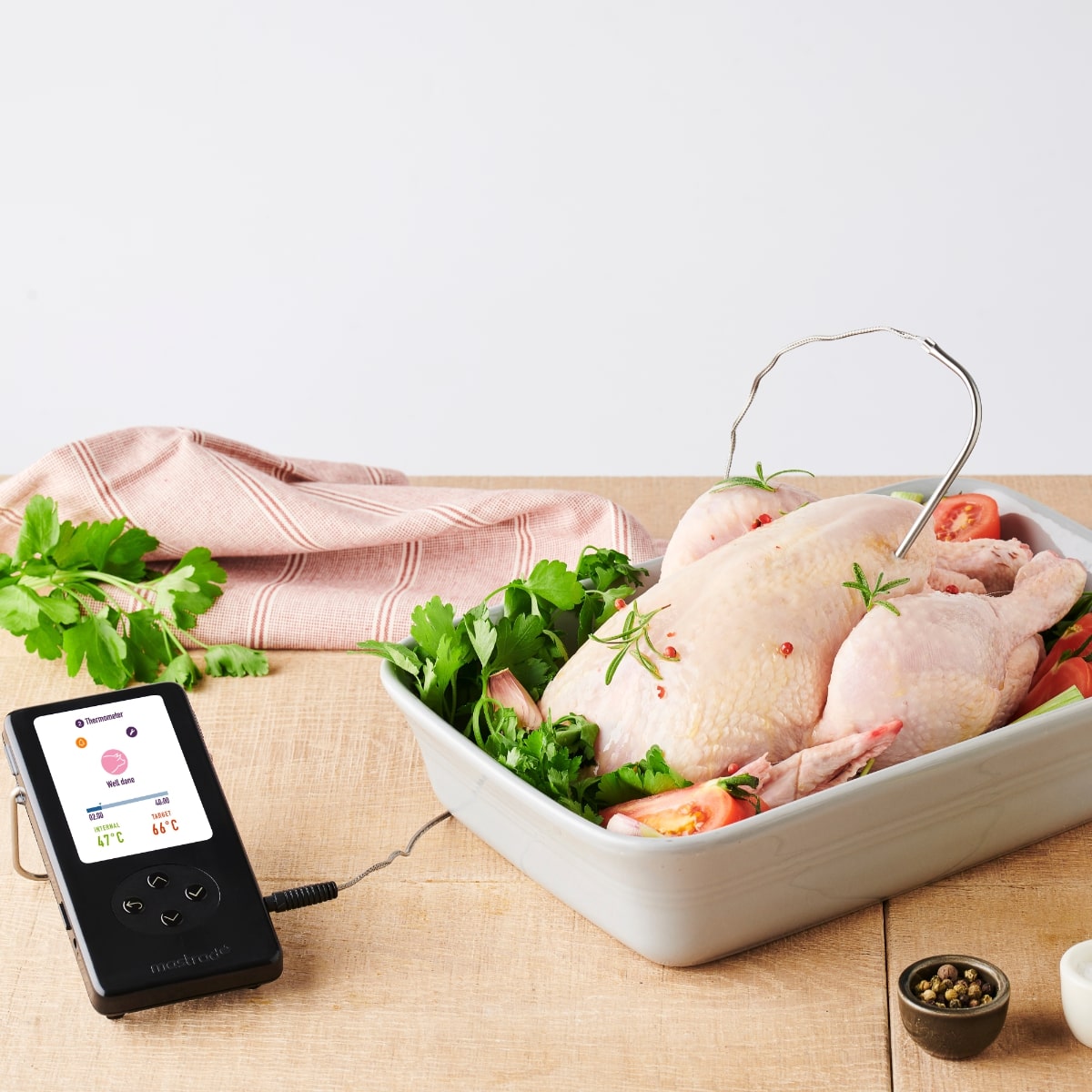 mastrad-mdegclassic-2-thermometer-f73060