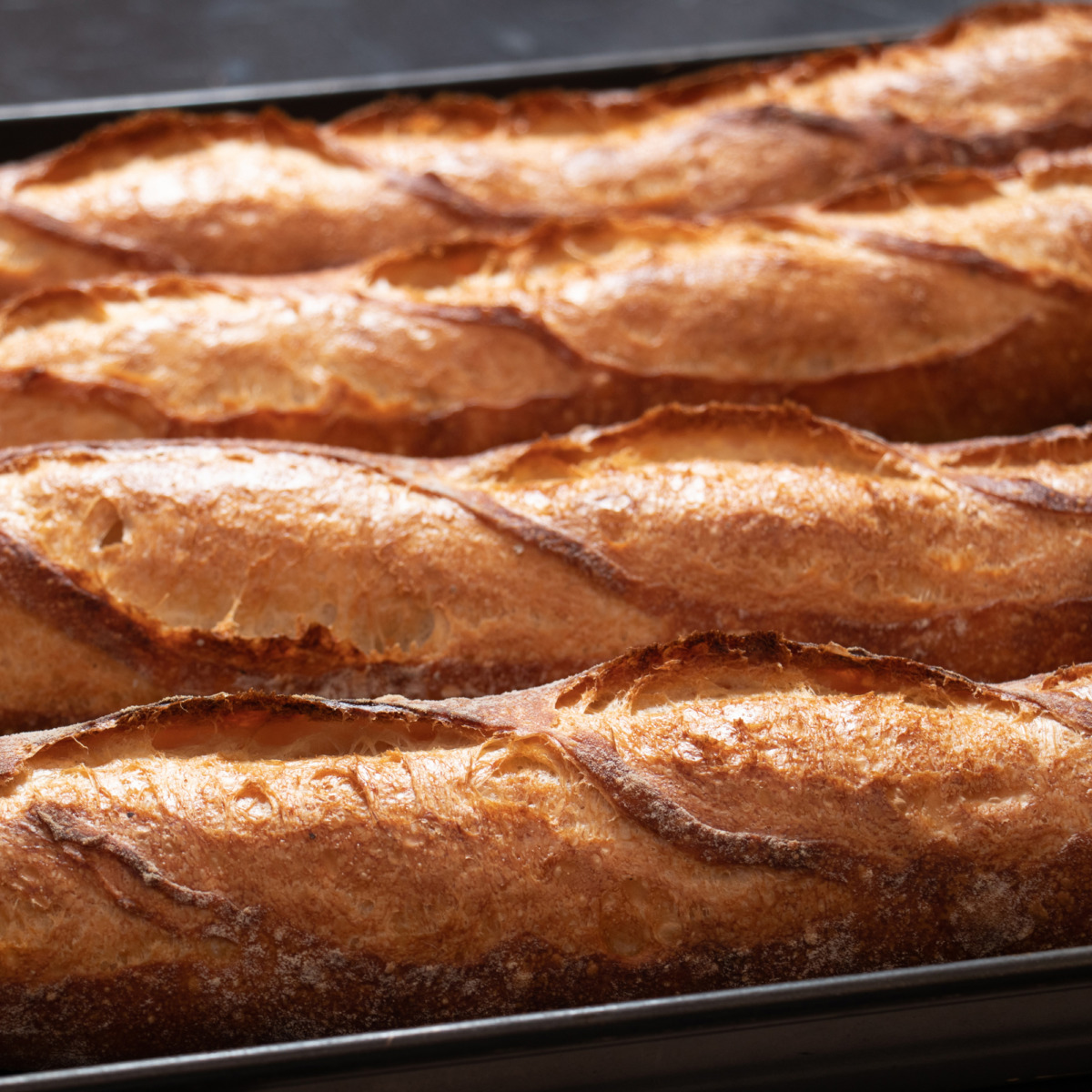 suncraft-bakkersmes4