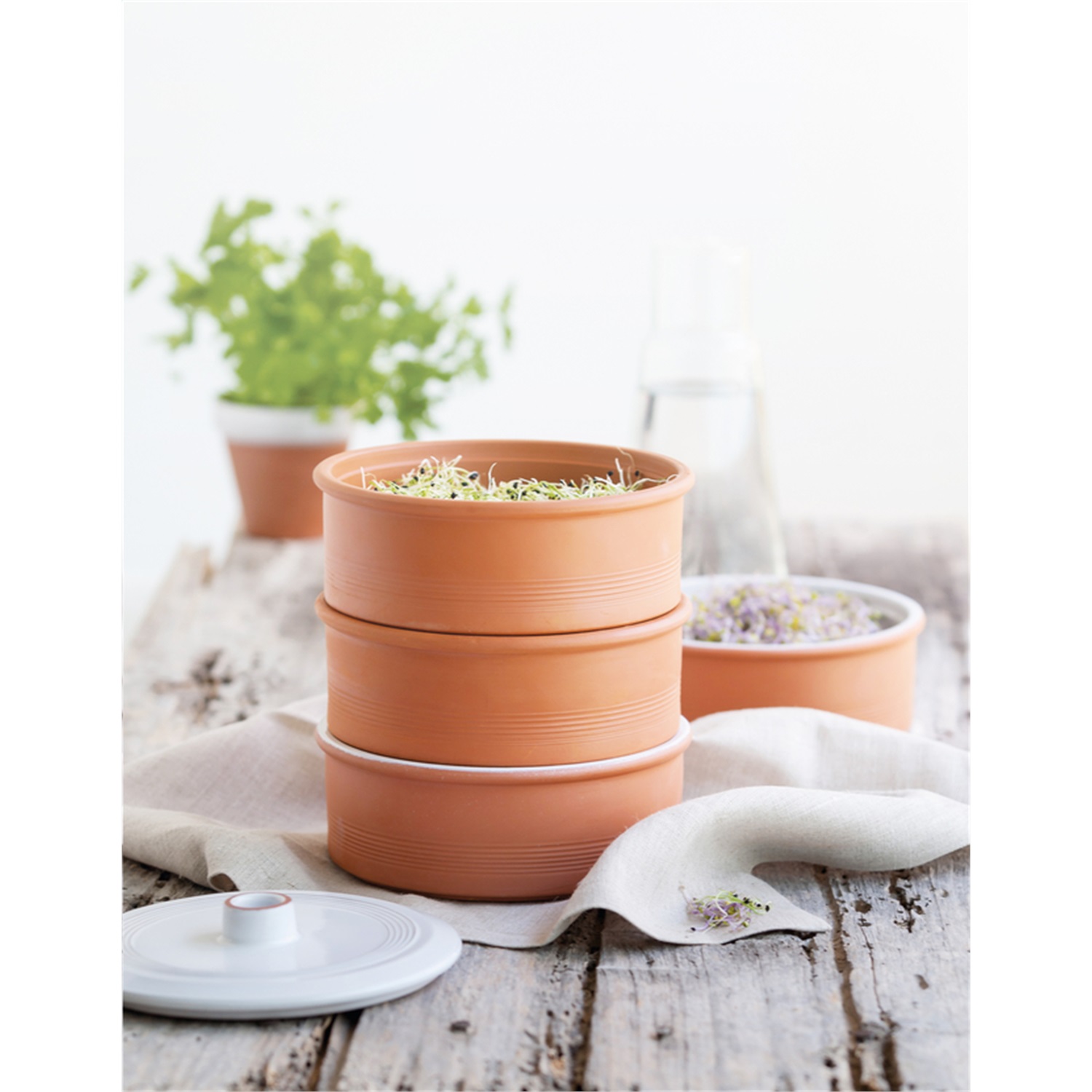 kookpunt-point-virgule-kiemtoren-terracotta