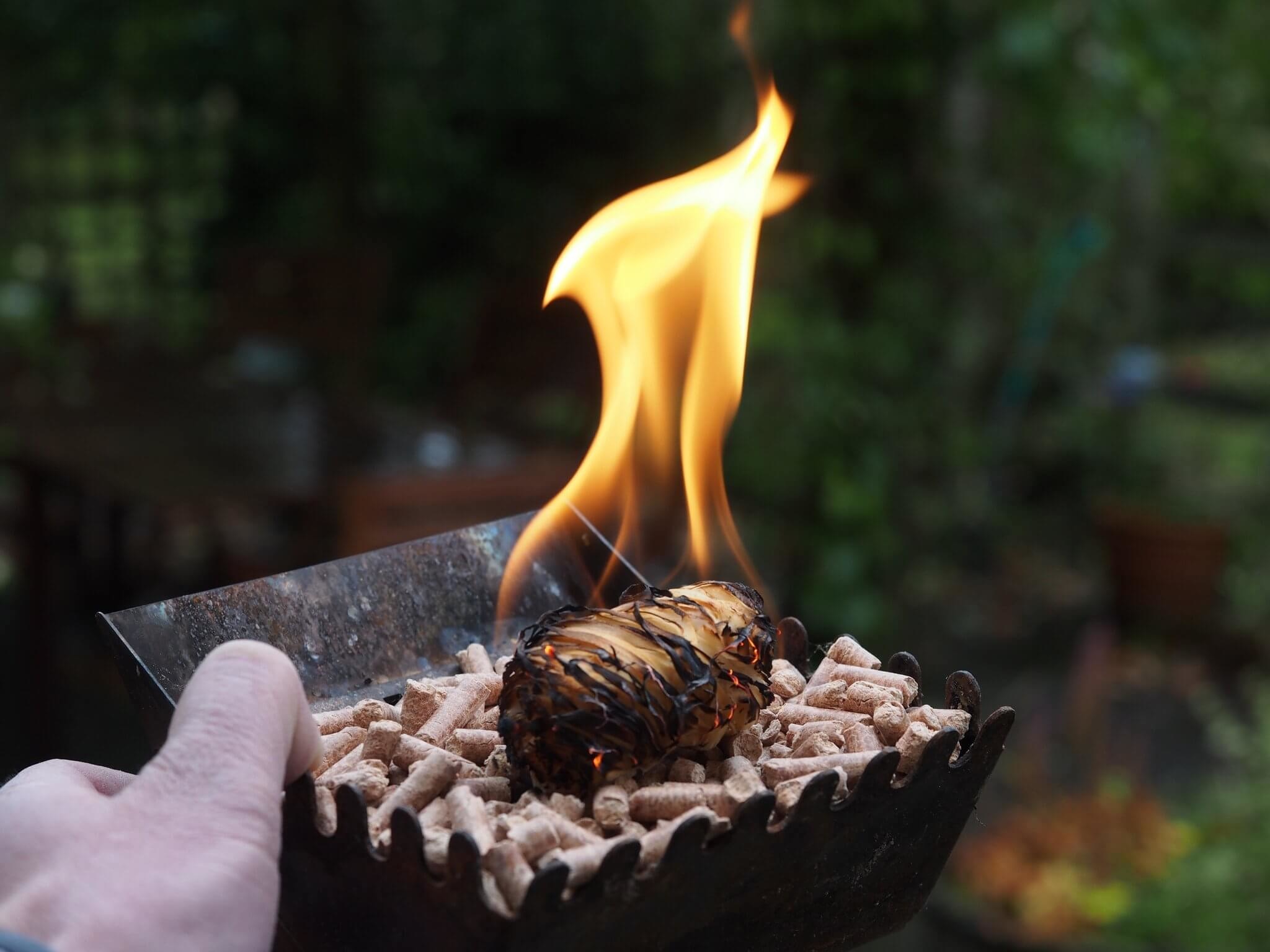 ooni-premium-natural-firestarters