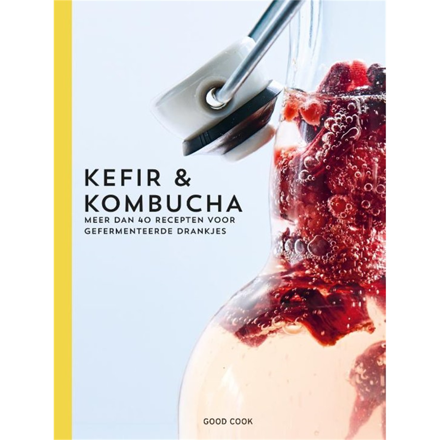 kefir-kombucha-meer-dan-40-recepten-voor-gefermenteerde-drankjes