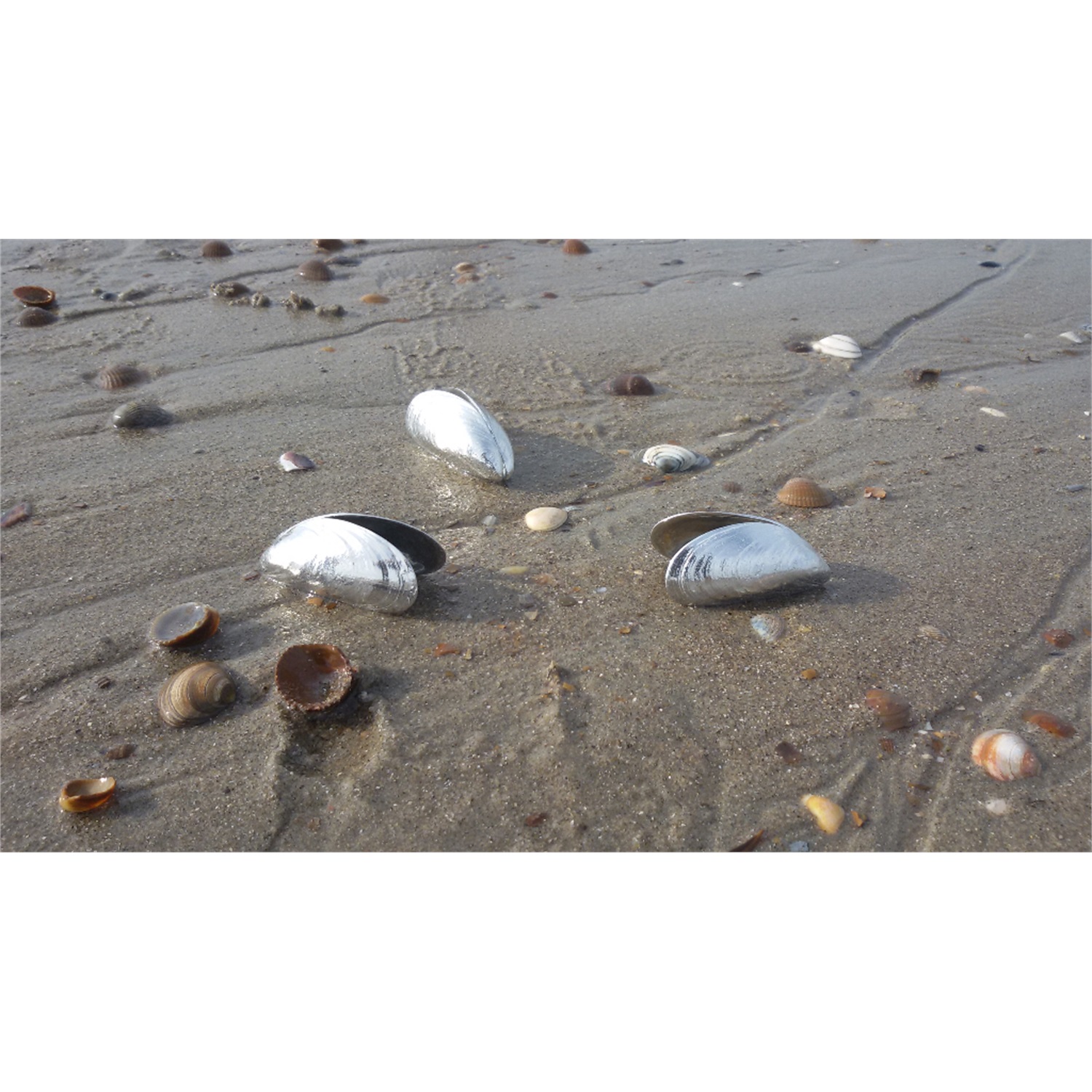 het-zeeuws-mosselbestek-4-delig