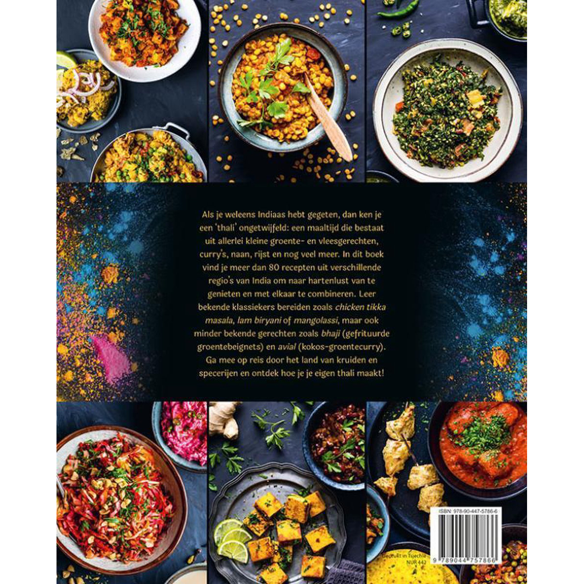 thali-de-authentieke-indiase-keuken