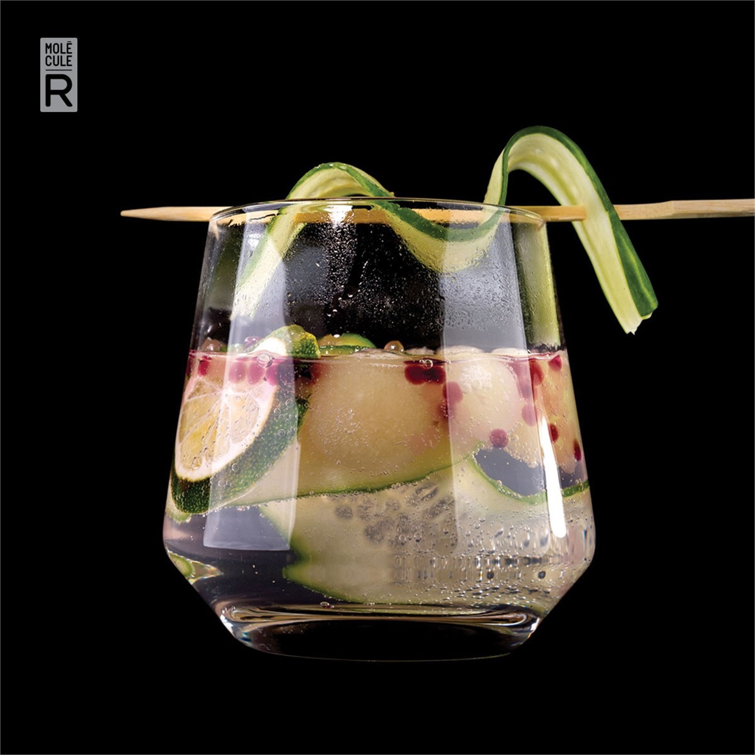 molecule-r-r-evolution-gin-tonic-kit