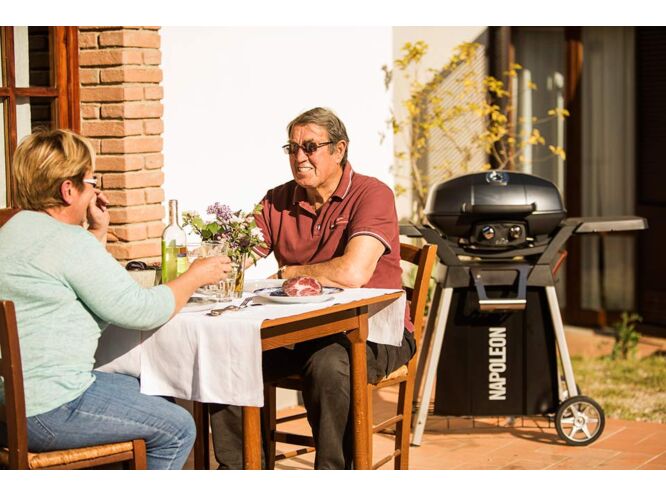 napoleon-travelq-pro285-stand-ce-onderstel