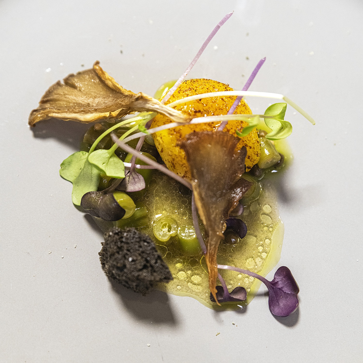 fond-kookpunt-diner-wild-van-de-horizon-12-december