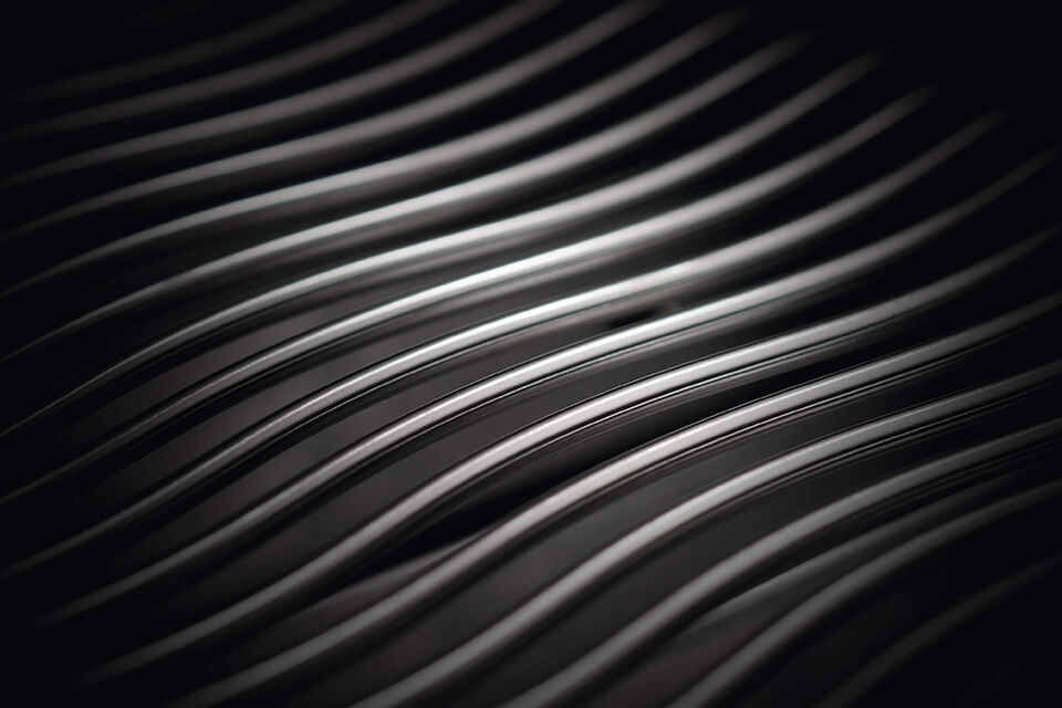 napoleon-rogue-se-625-gasbarbecue-met-rvs-roosters-rvs