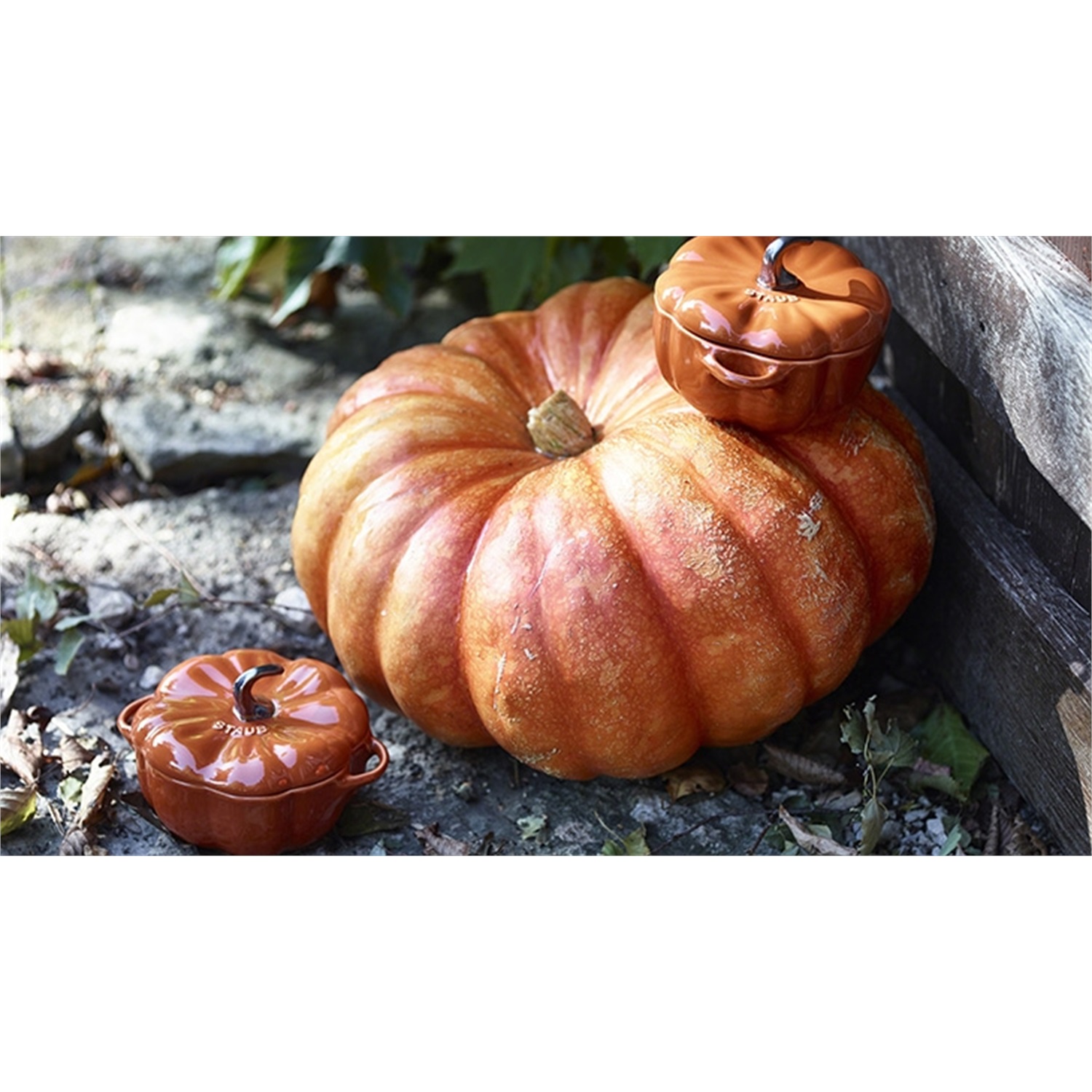 staub-ovenschaal-pompoen-12cm-oranje_4jpeg