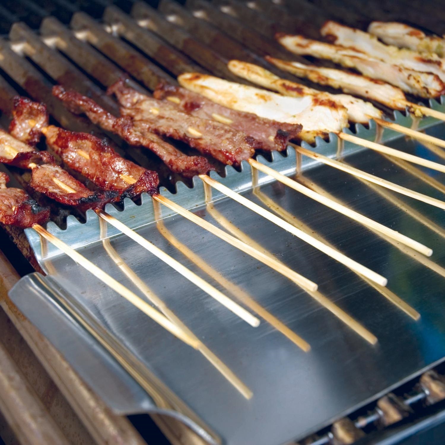 steven-raichlen-bbq-spiesen-grillschild-sr8031