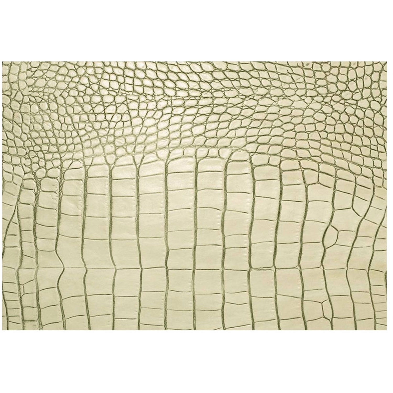 daff leatherixx gator placemat 33x45cm ivory