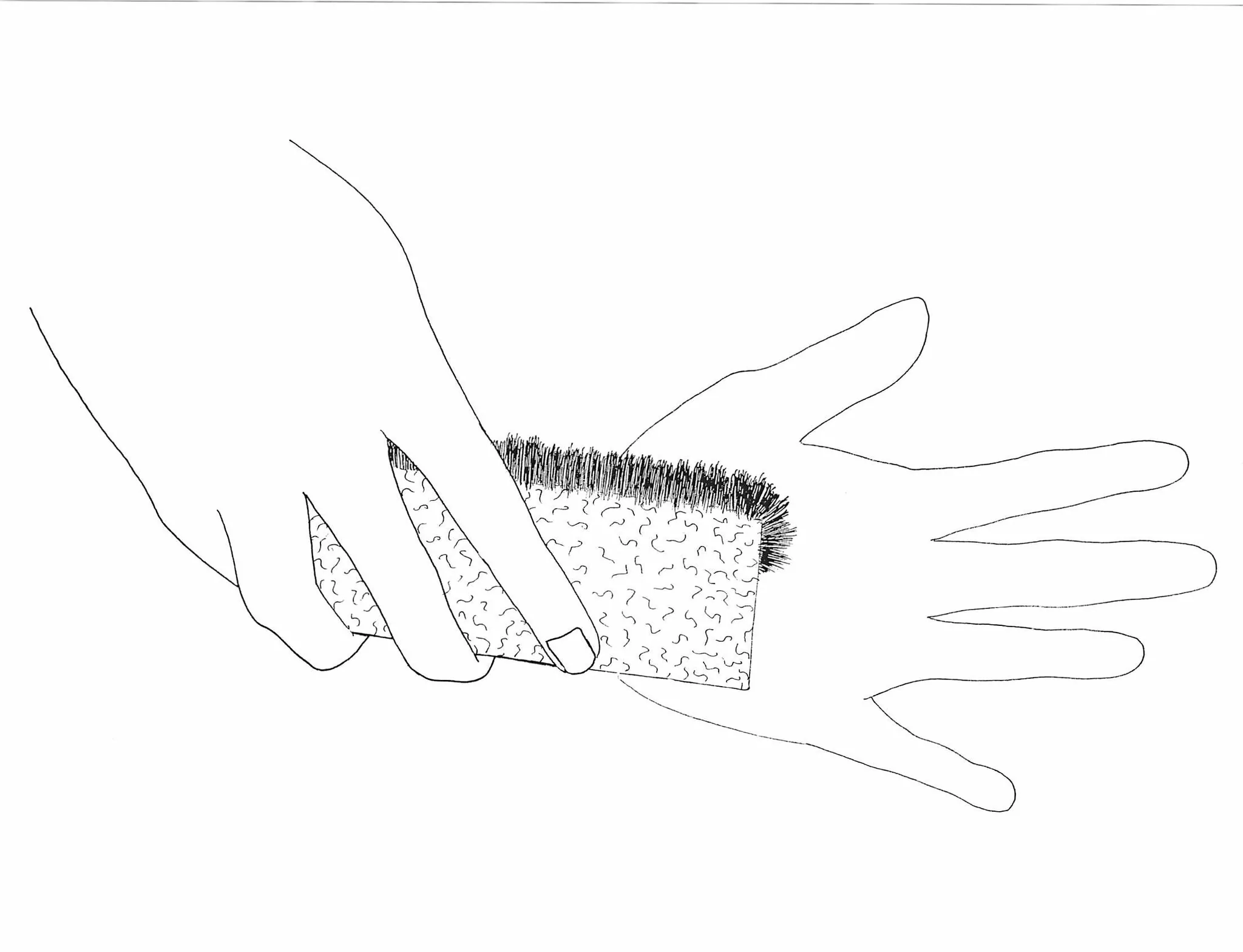 brushtech-fingertip-clean-borstel-spons-b0317c