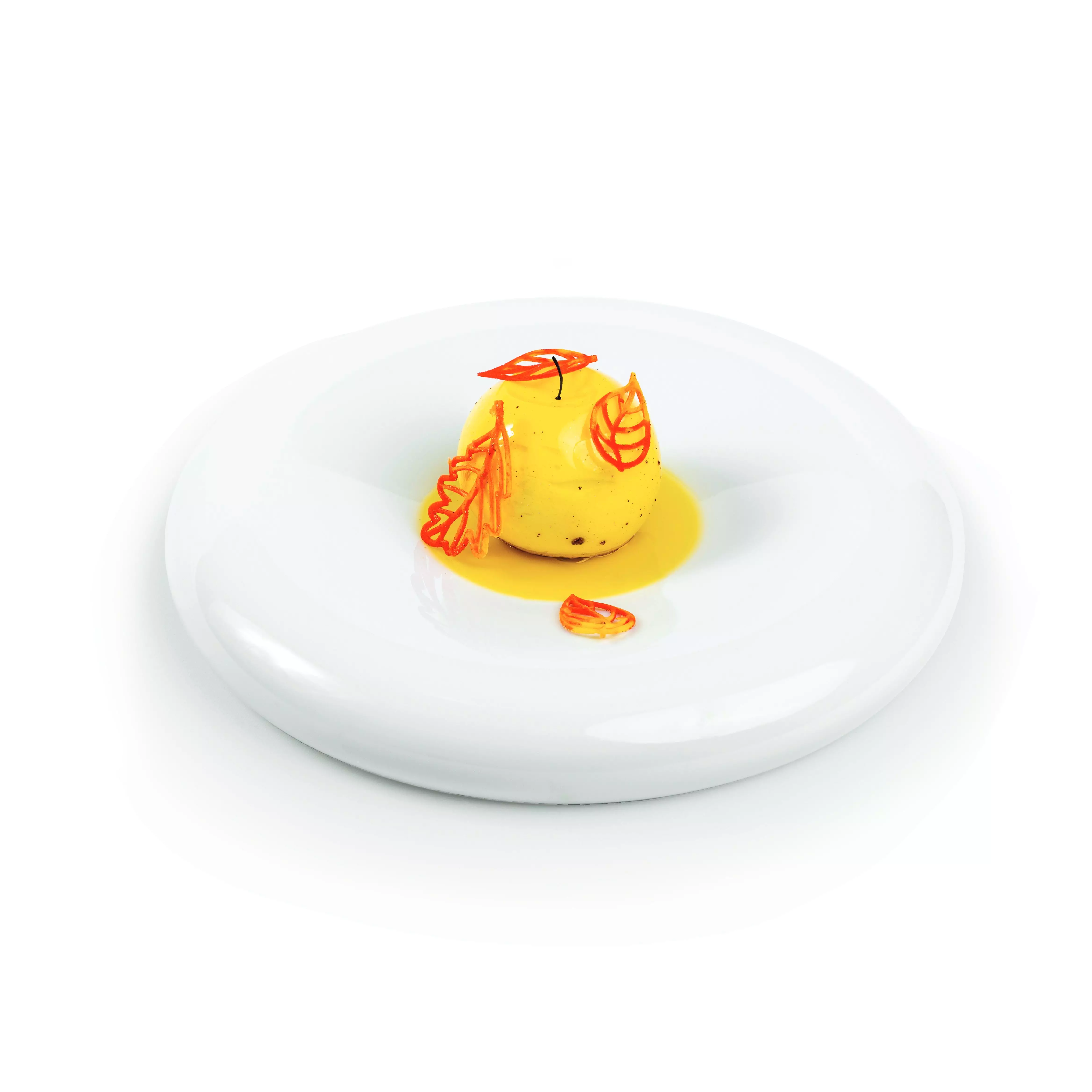 silikomart-taiga-siliconen-patisserievorm-56-vaks4.jpg