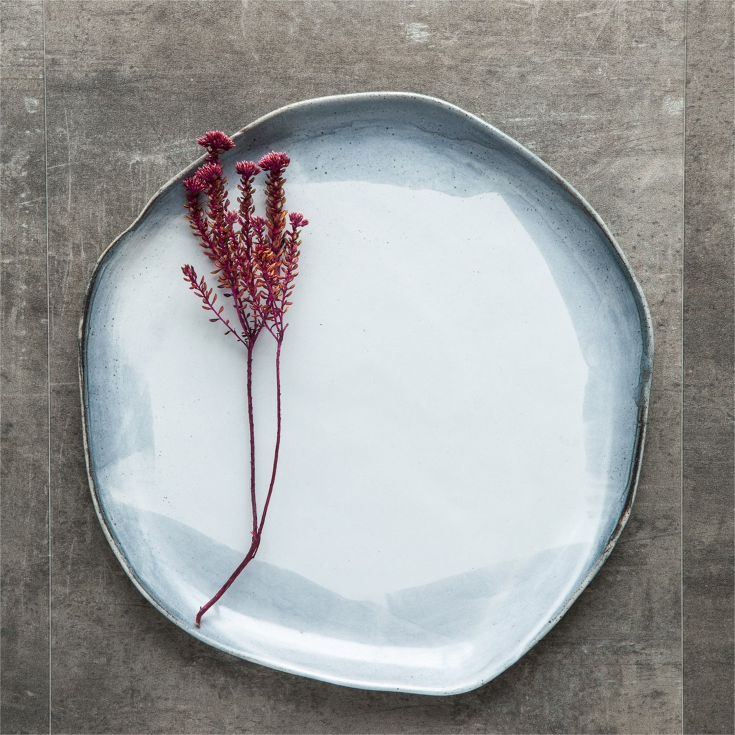 dassie-artisan-dinerbord-oyster