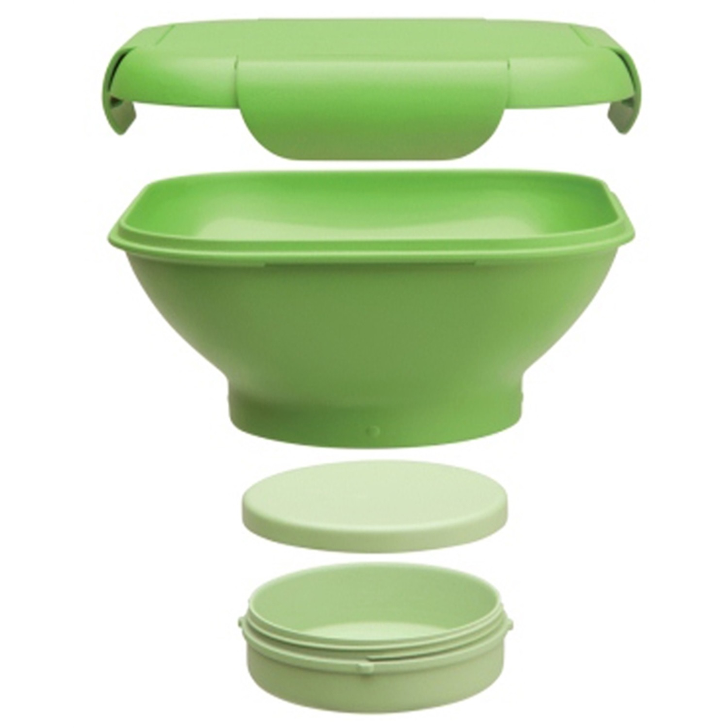 aladdin-papillon-saladeset-fern-groen