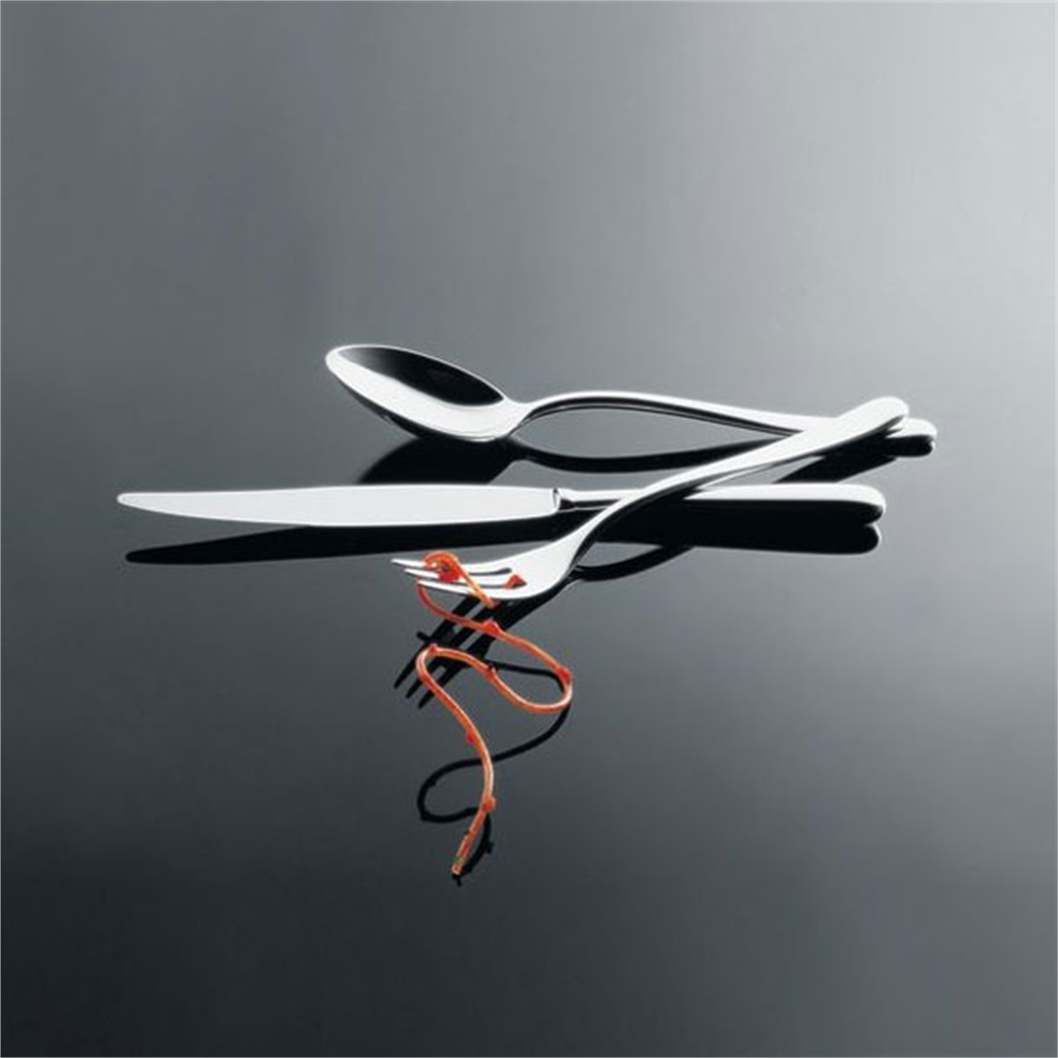 alessi-caccia-bestekset-monobloc-lcd01s24m-24-delig