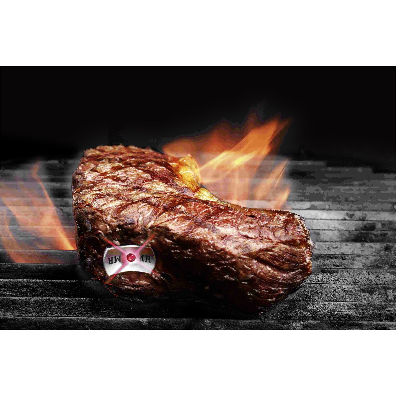 steak-champ-vleesthermometer-rare-rvs